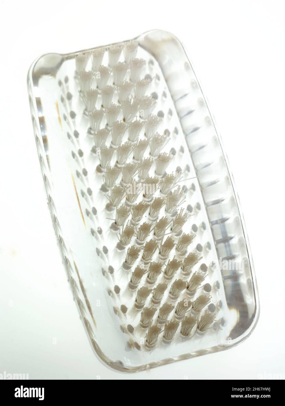 Very close-up still life of nailbrush, Coronavirus handwashing regime Stock Photo