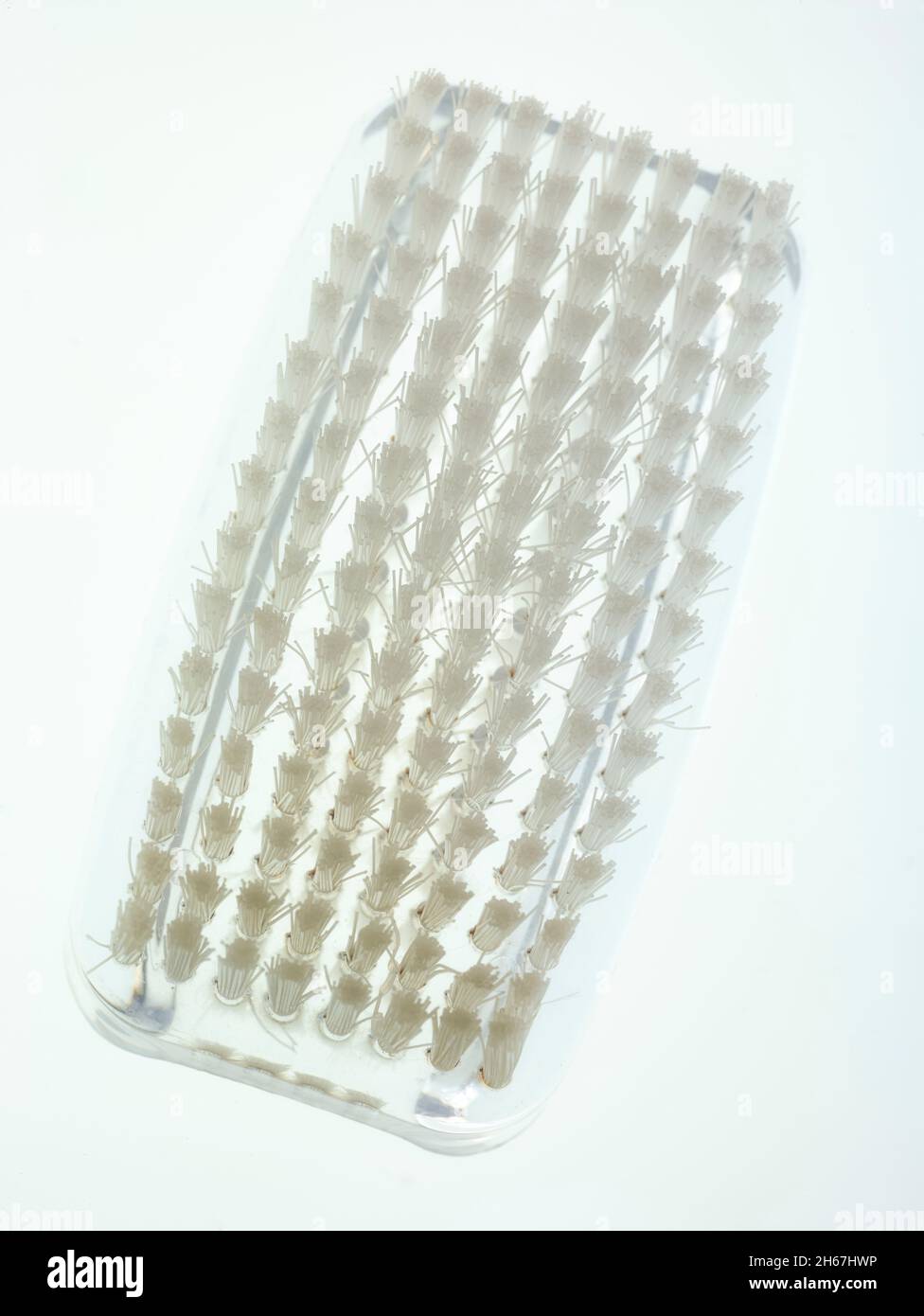 Very close-up still life of nailbrush, Coronavirus handwashing regime Stock Photo