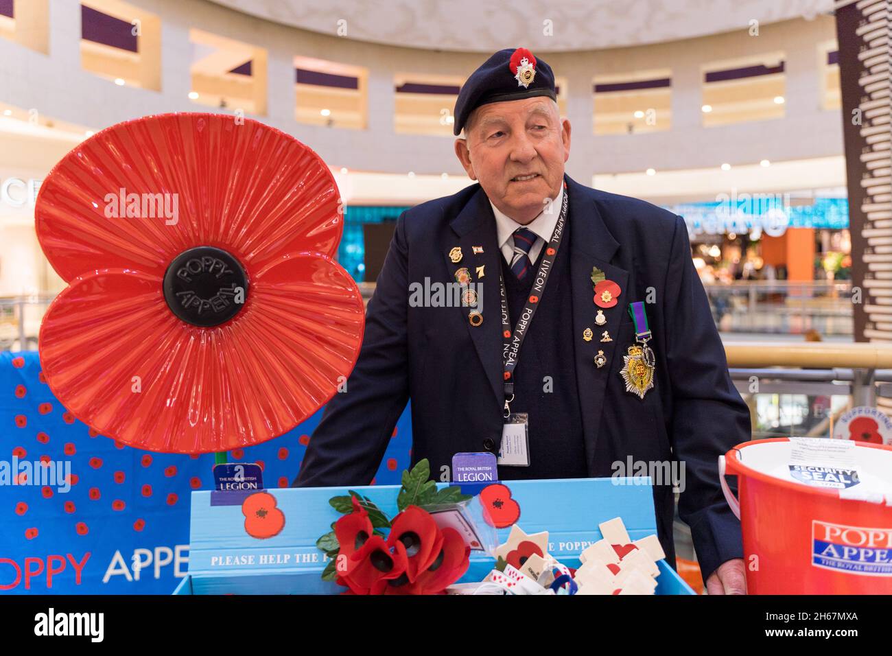 Volunteer from poppy appeal the British Legion selling poppies to shoppers at shopping centre Kent England UK Stock Photo