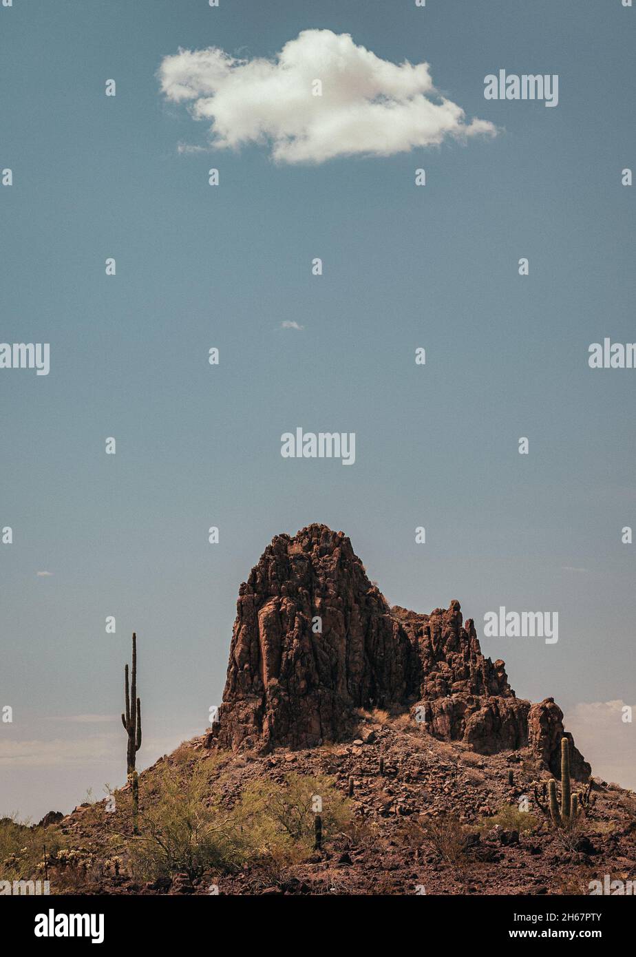 Saguaro Cactus in Arizona next to mountain with blue sky and white ...
