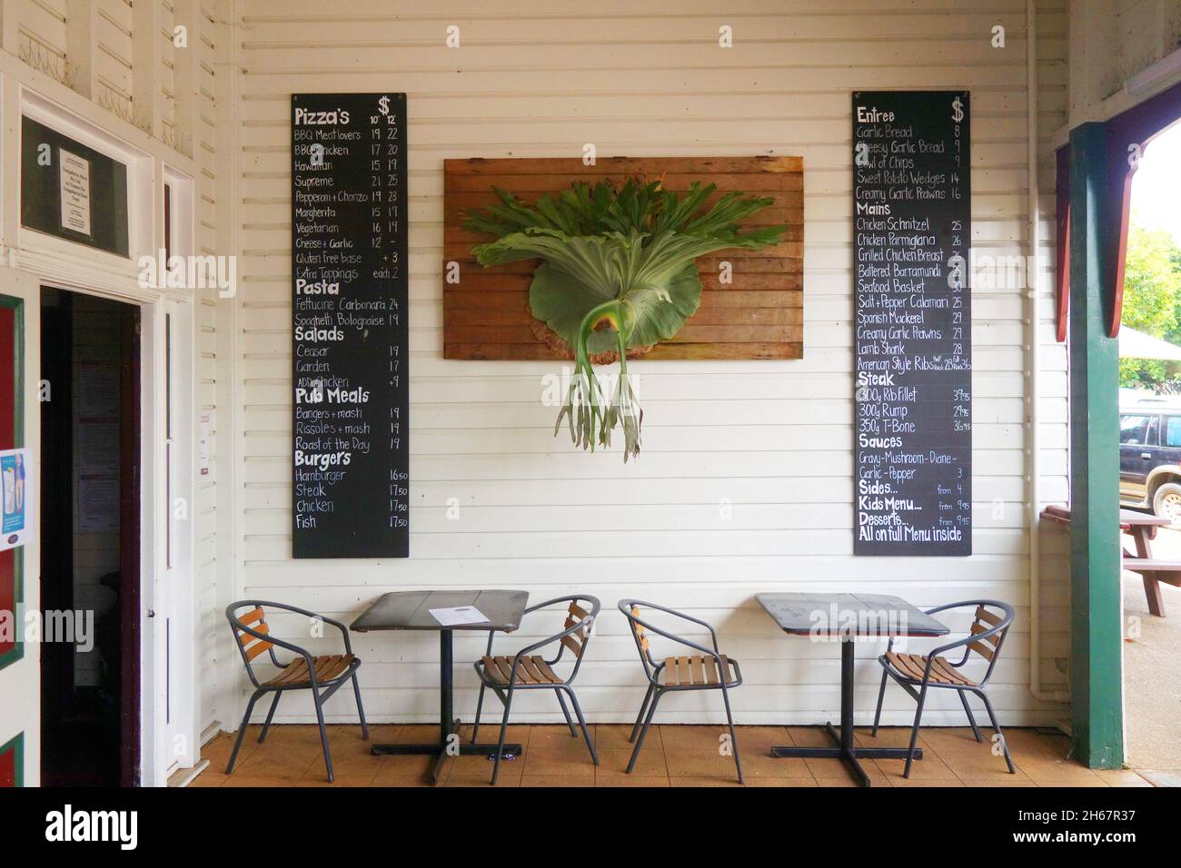 Verandah featuring magnificent elkhorn fern on the wall, historic Yungaburra Hotel, Yungaburra, Atherton Tablelands, near Cairns, QUeensland, Australi Stock Photo
