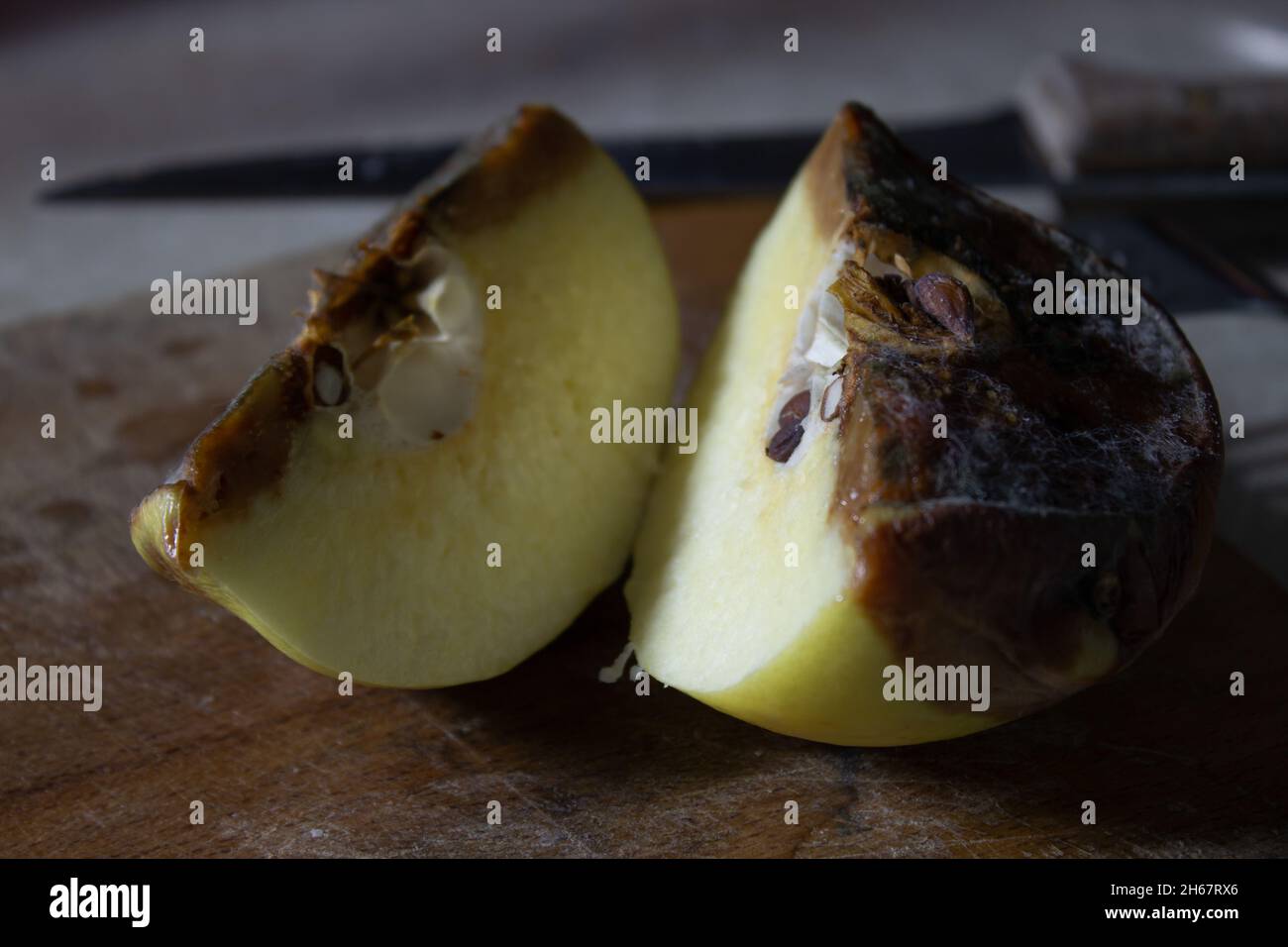 A moldy quince on a wooden cutting board with knife and fork at the side of it. Stock Photo