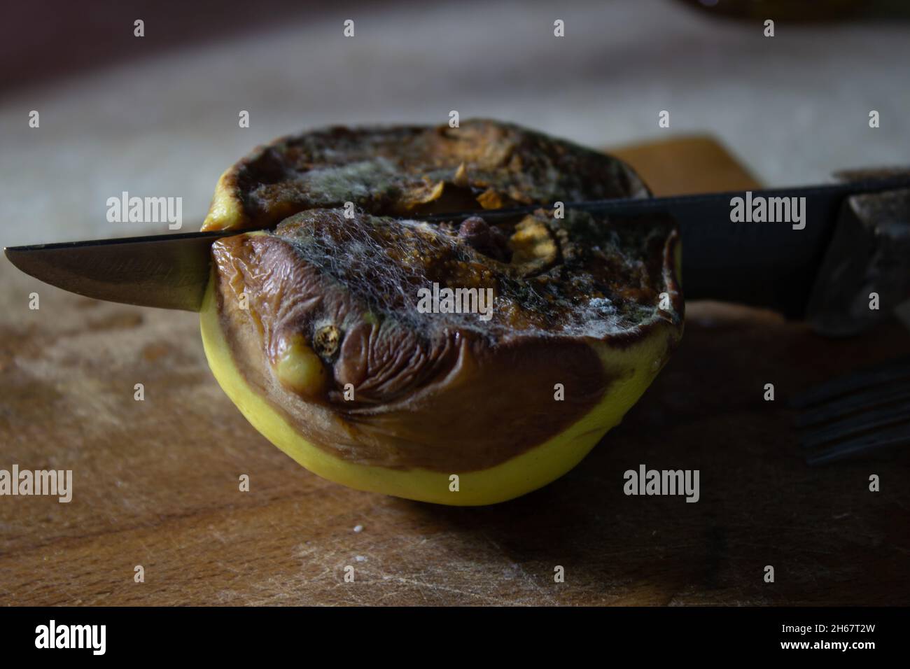 Moldy quince stabbed with a knife on a wooden cutting board Stock Photo