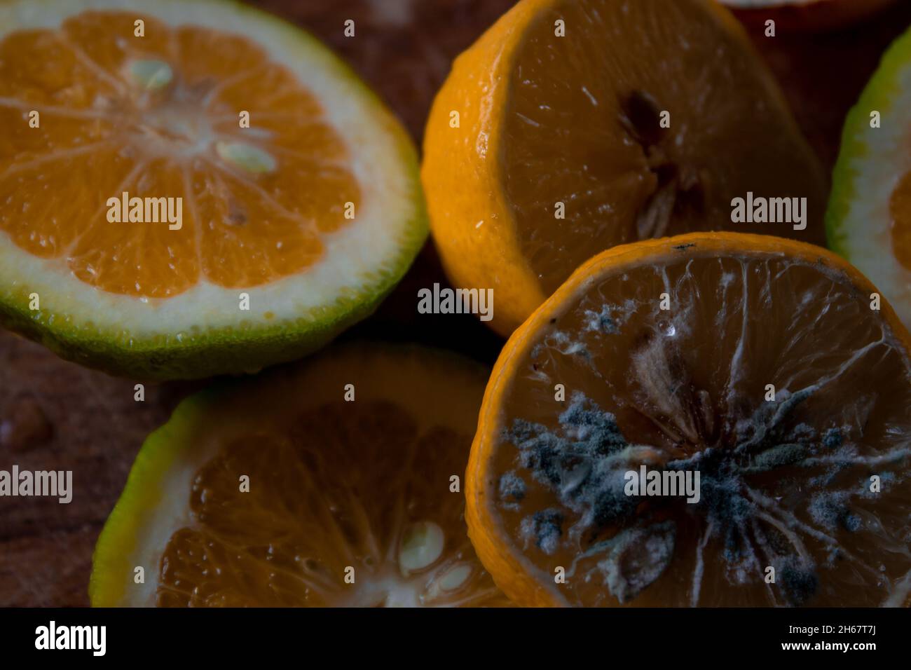 Moldy Wooden Cutting Board at Landon New blog