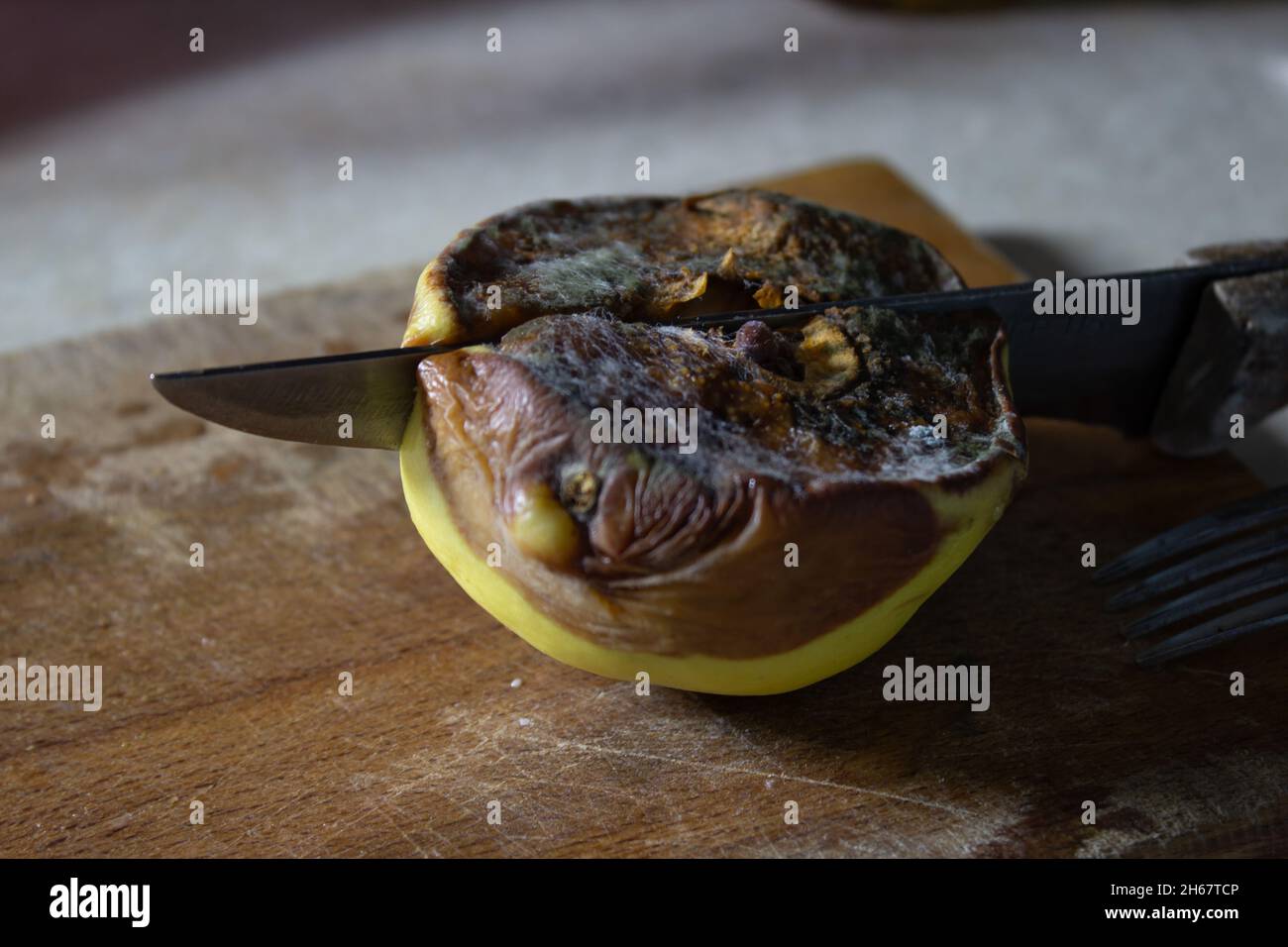 Moldy food hires stock photography and images Alamy