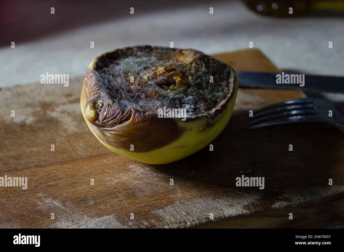 A moldy quince on a wooden cutting board with knife and fork at the side of it. Stock Photo