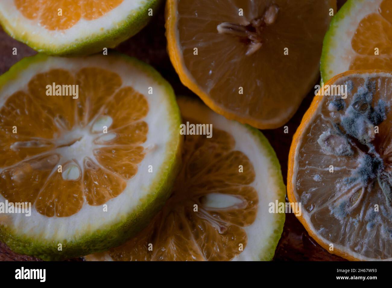 Moldy lemon slices together with lime and oranges on a wooden cutting