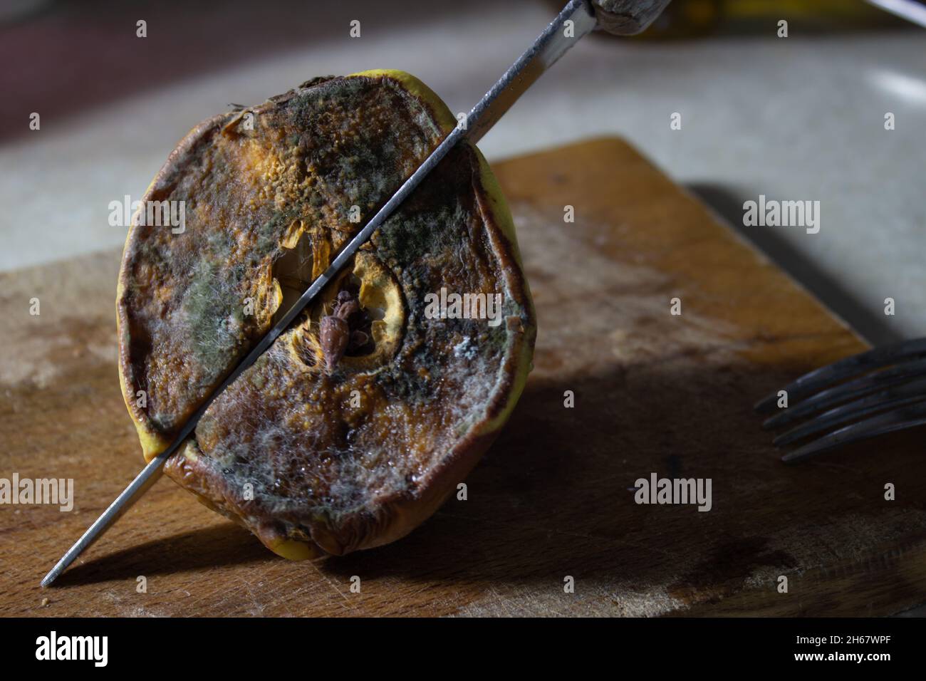 Moldy quince stabbed with a knife on a wooden cutting board Stock Photo