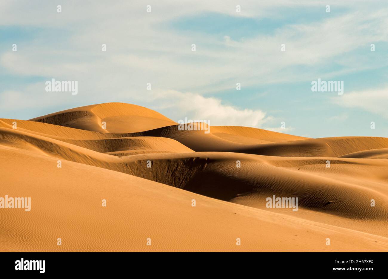 Algodones dunes in California near Yuma desert Stock Photo Alamy