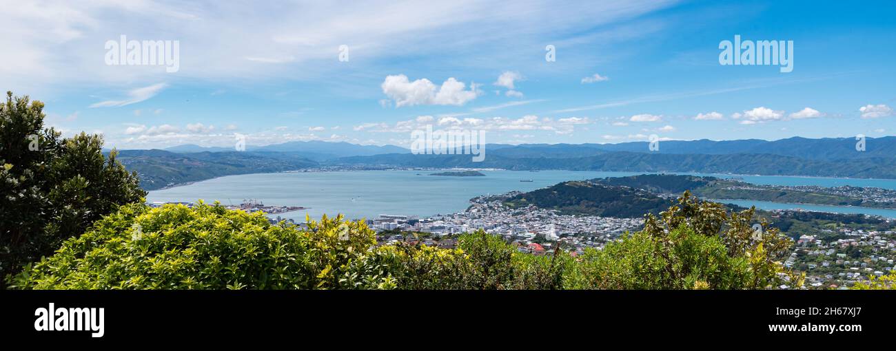 Panorama of Wellington from Hawkins Hill showing the harbour Stock Photo