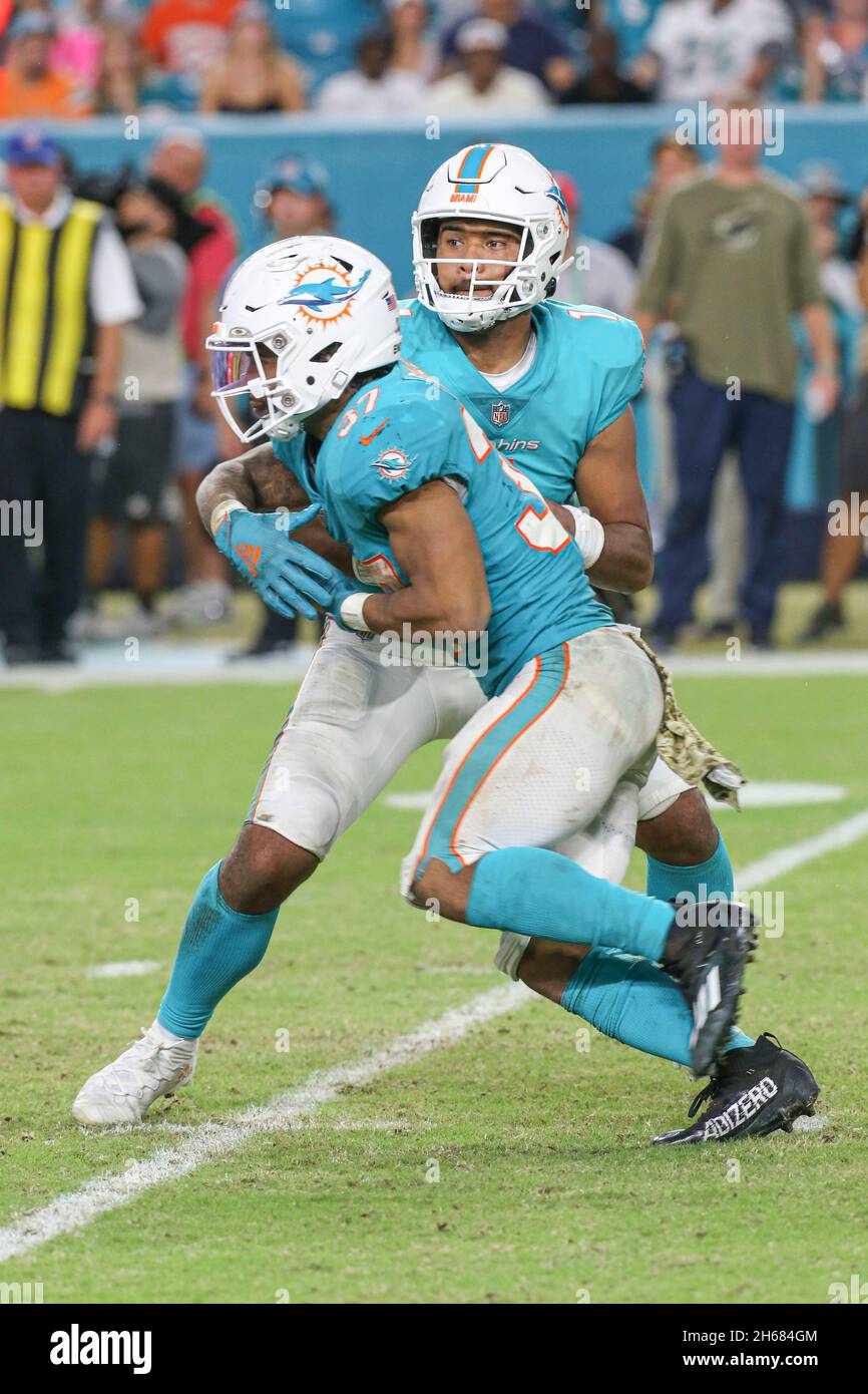 Myles gaskin dolphins hi-res stock photography and images - Alamy