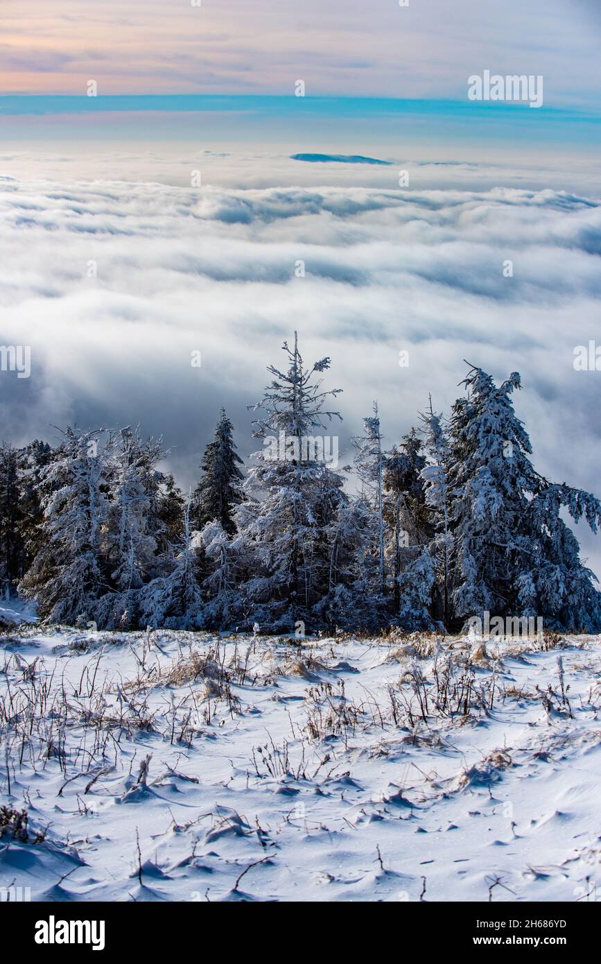 Calm falling snow flakes winter hi-res stock photography and images - Alamy