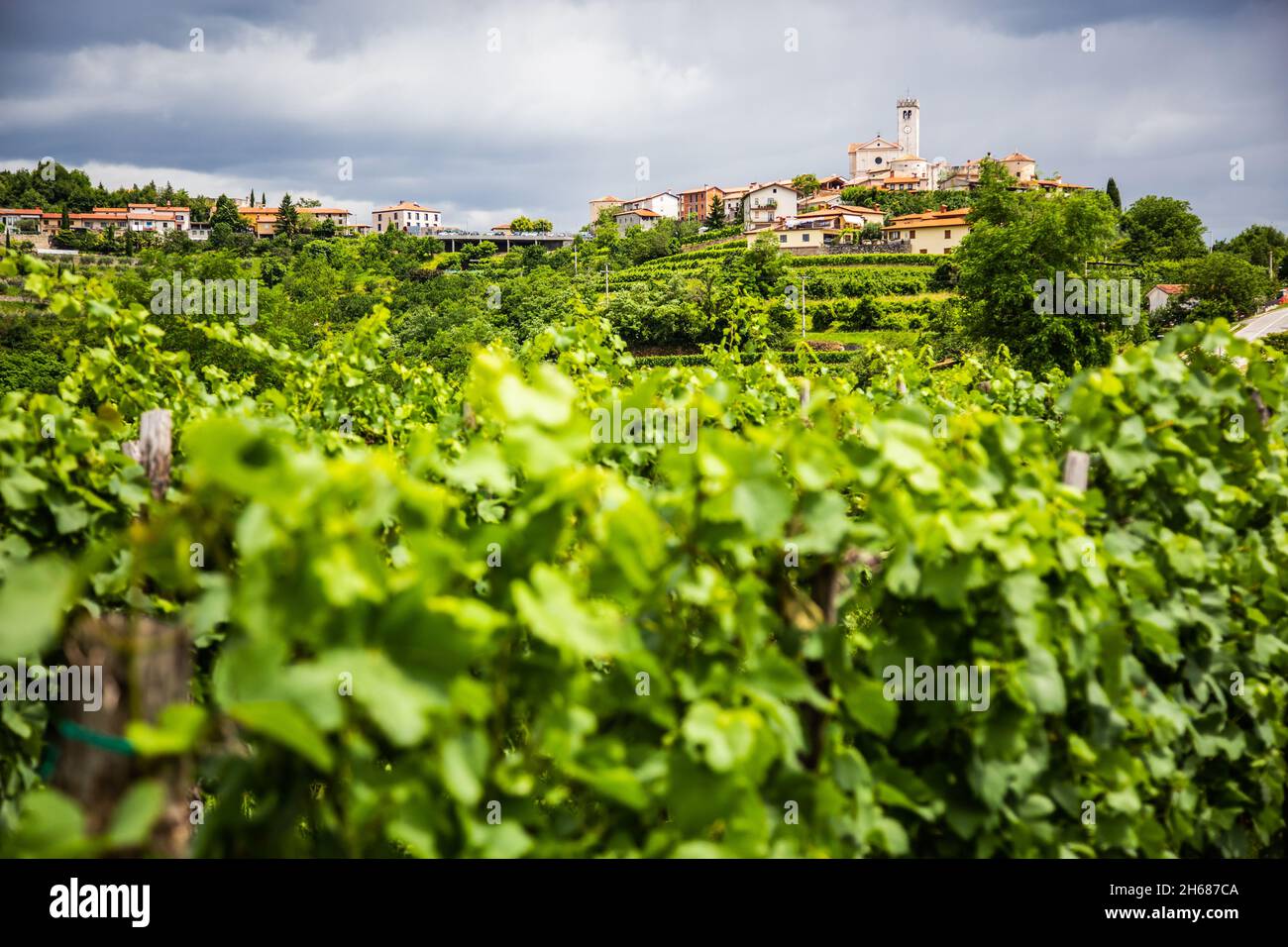 Smartno medieval village in Goriska Brda region, Slovenia. Stock Photo