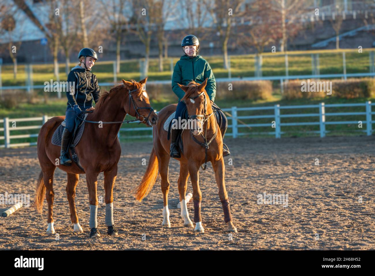 riding lessons, useful skill, horse therapy Stock Photo