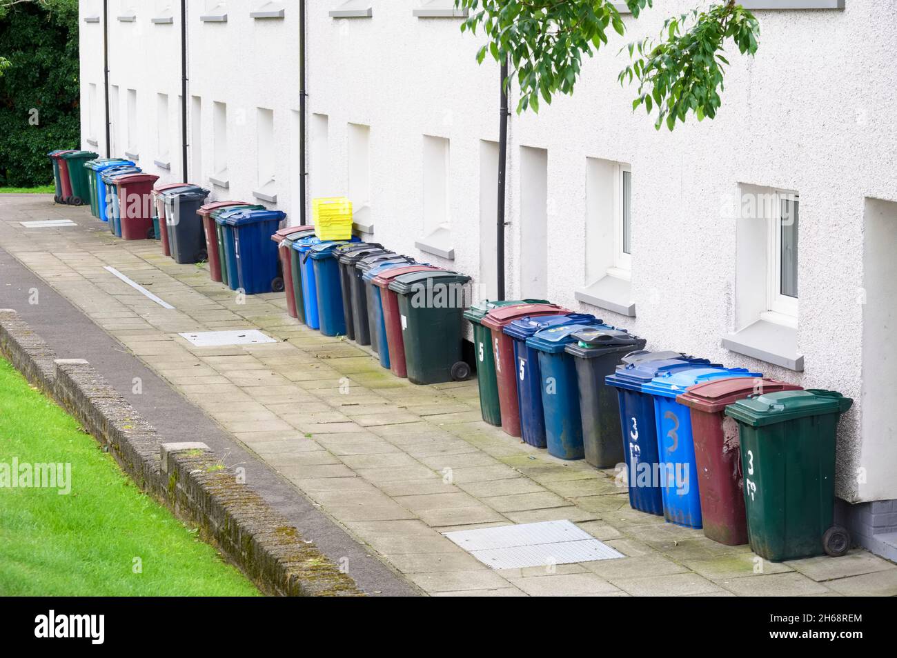 Wheelie bin colour blue, purple and black for refuge collection outside