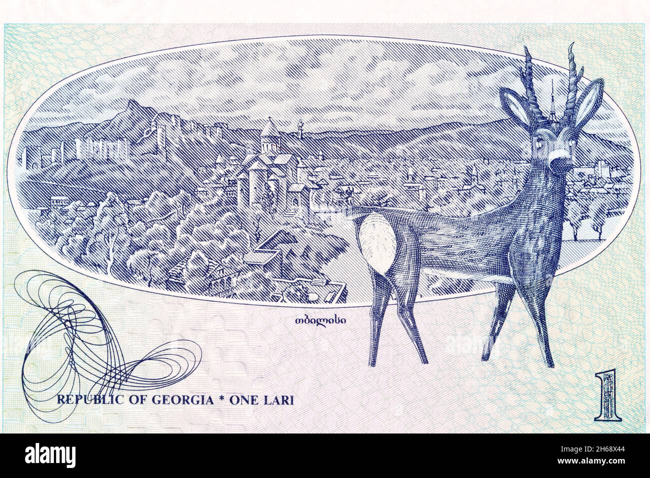 View of Tbilisi and painting of deer from Georgian money Stock Photo