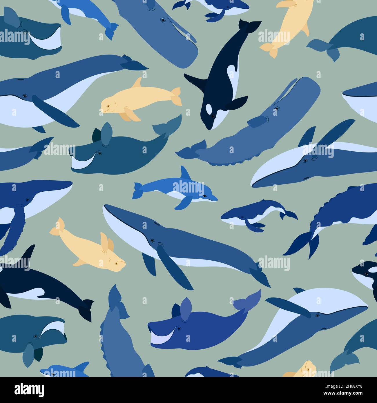 Seamless pattern of whales. Beluga, killer whale, humpback whale, cachalot, blue whale, dolphin, bowhead, southern right whale, sperm hale. Underwater world, Marine. Vector illustration of a whales Stock Vector