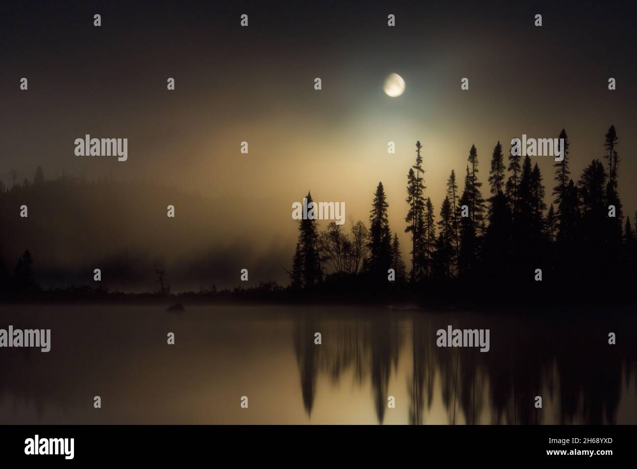 A mesmerizing view of a moon over a lake with trees at night Stock ...