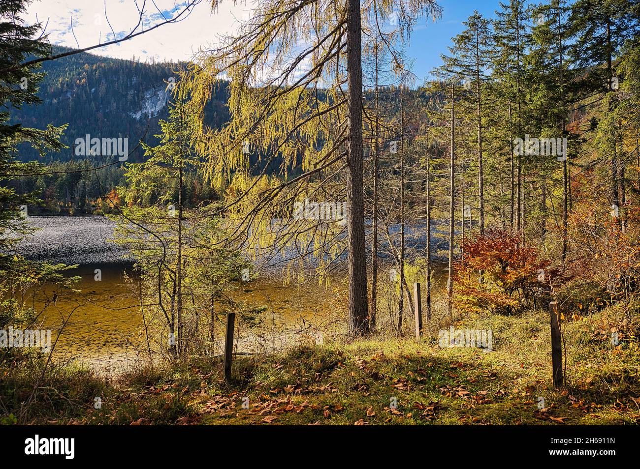 Autumn landscape at the Ödensee in Styria Stock Photo - Alamy