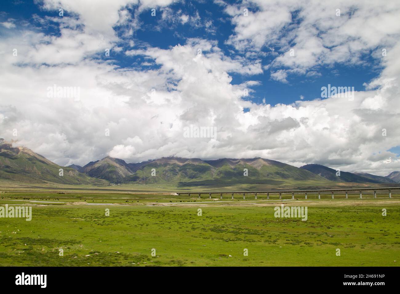 The natural beauty of China's Tibetan Plateau Stock Photo - Alamy