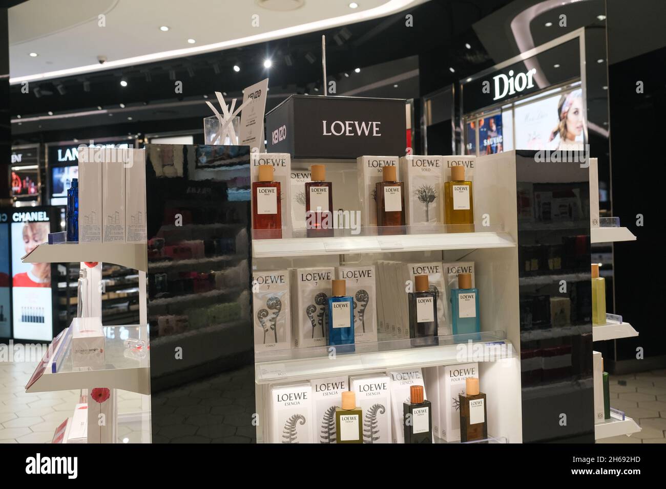 cigarette brands A Comprehensive Guide to Cigarette Brands for Creators｜森エルダット