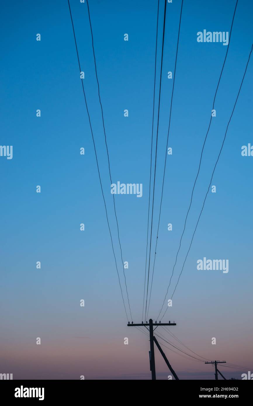 Colorful sunrise over the with trees and electric pole Stock Photo - Alamy
