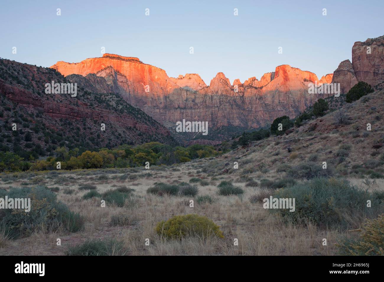 Zion National Park, Utah, USA. View across desert brush to the Towers of the Virgin, sunrise, the West Temple and Altar of Sacrifice prominent. Stock Photo