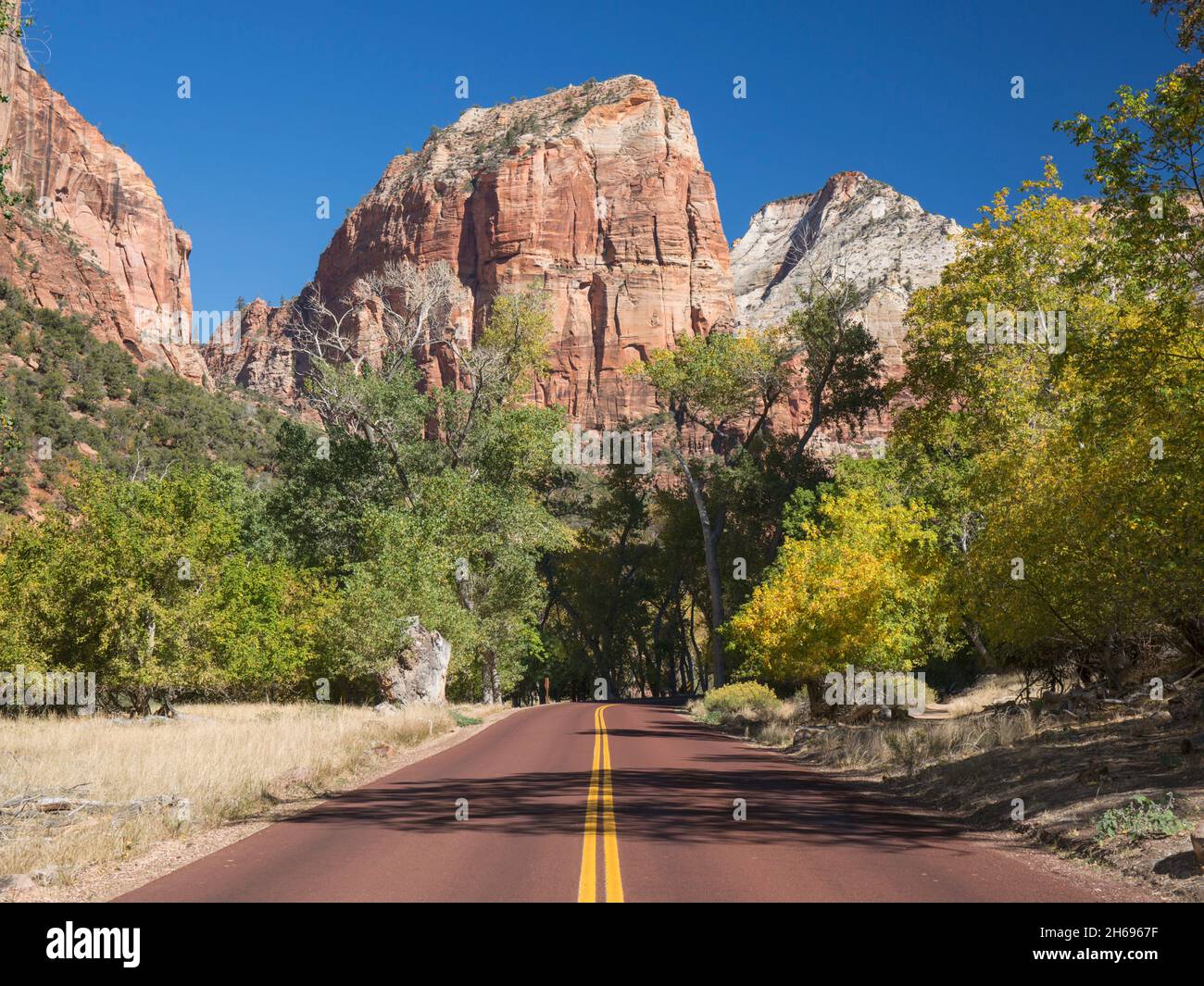 Zion National Park, Utah, USA. View along Zion Canyon Scenic Drive to the sheer south face of Angels Landing, autumn, Mount Baldy beyond. Stock Photo