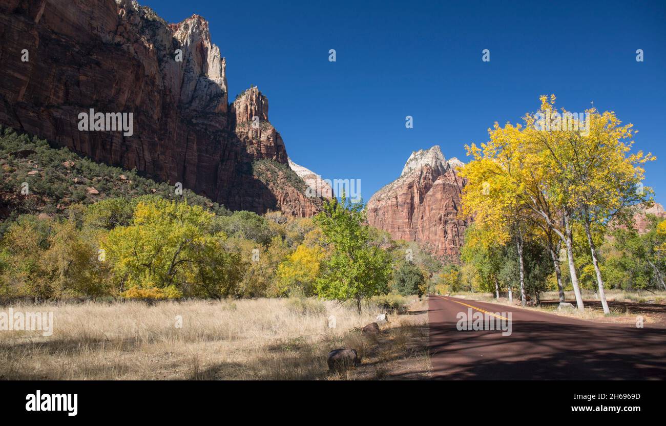 Zion National Park, Utah, USA. Panoramic view along Zion Canyon Scenic Drive to the towering