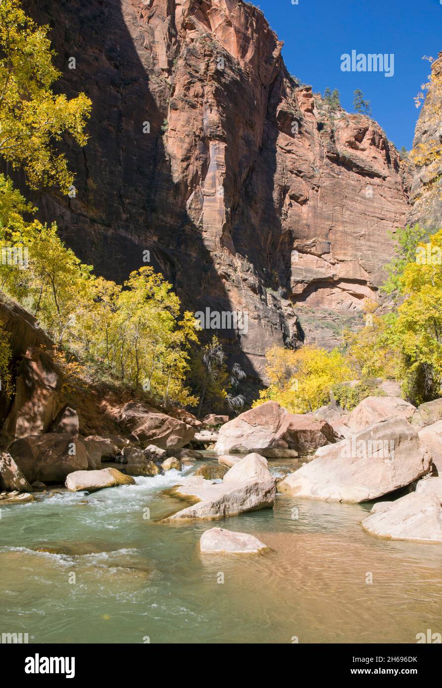Zion National Park, Utah, USA. View along the boulder-strewn Virgin River to the towering sandstone cliffs of the Temple of Sinawava, autumn. Stock Photo