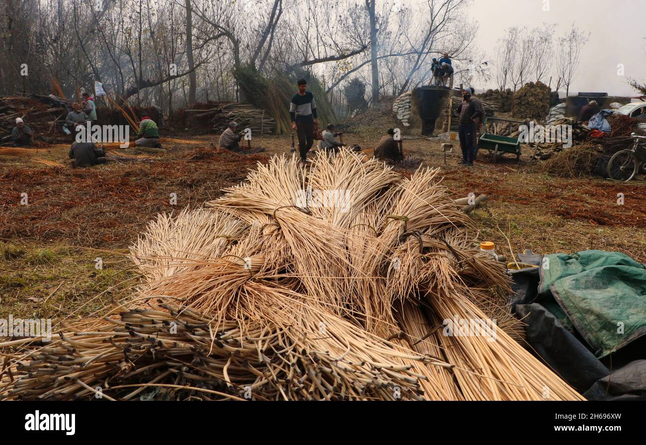 November 14, 2021, Ganderbal, Jammu and Kashmir, India A villager