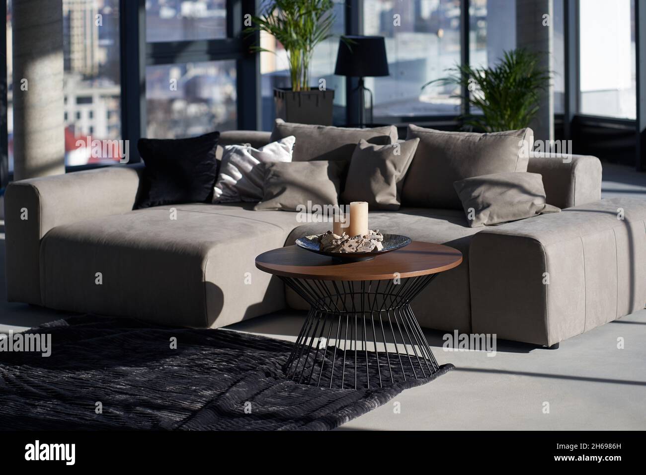 Close up of cozy living room with grey couch, coffee table, carpet and green plants in pots. Daylights coming through panoramic windows. Modern apartment.  Stock Photo