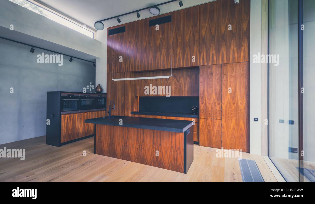 Gallery Detail: Modern Interior Of Luxury Apartment Wooden Spacious Kitchen With Built