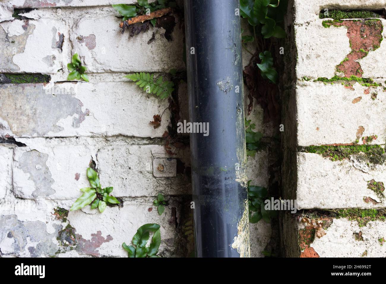 Abstract, Pattern, Brickwork, Water Pipe Stock Photo