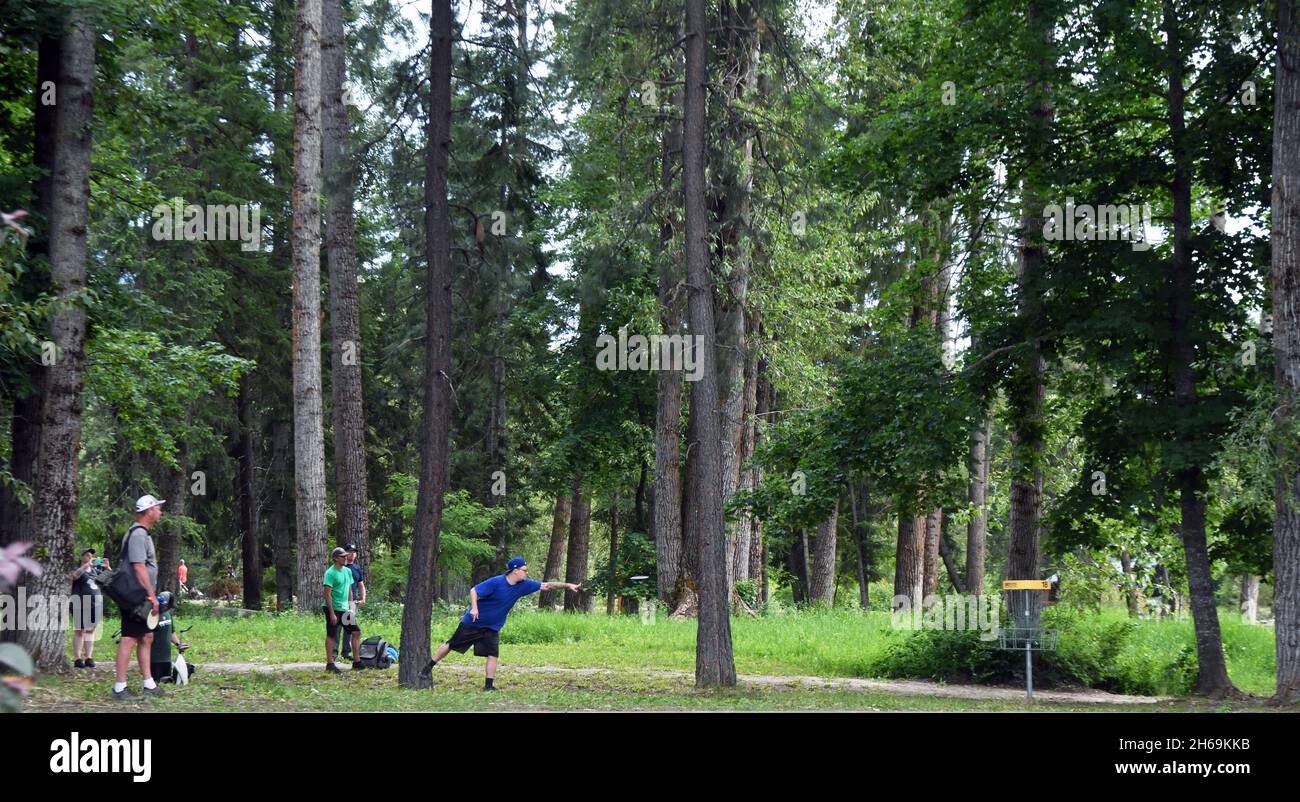 People playing disc golf at the Timber Beast Disc Golf Course in Troy, northwest Montana. (Photo by Randy Beacham) Stock Photo