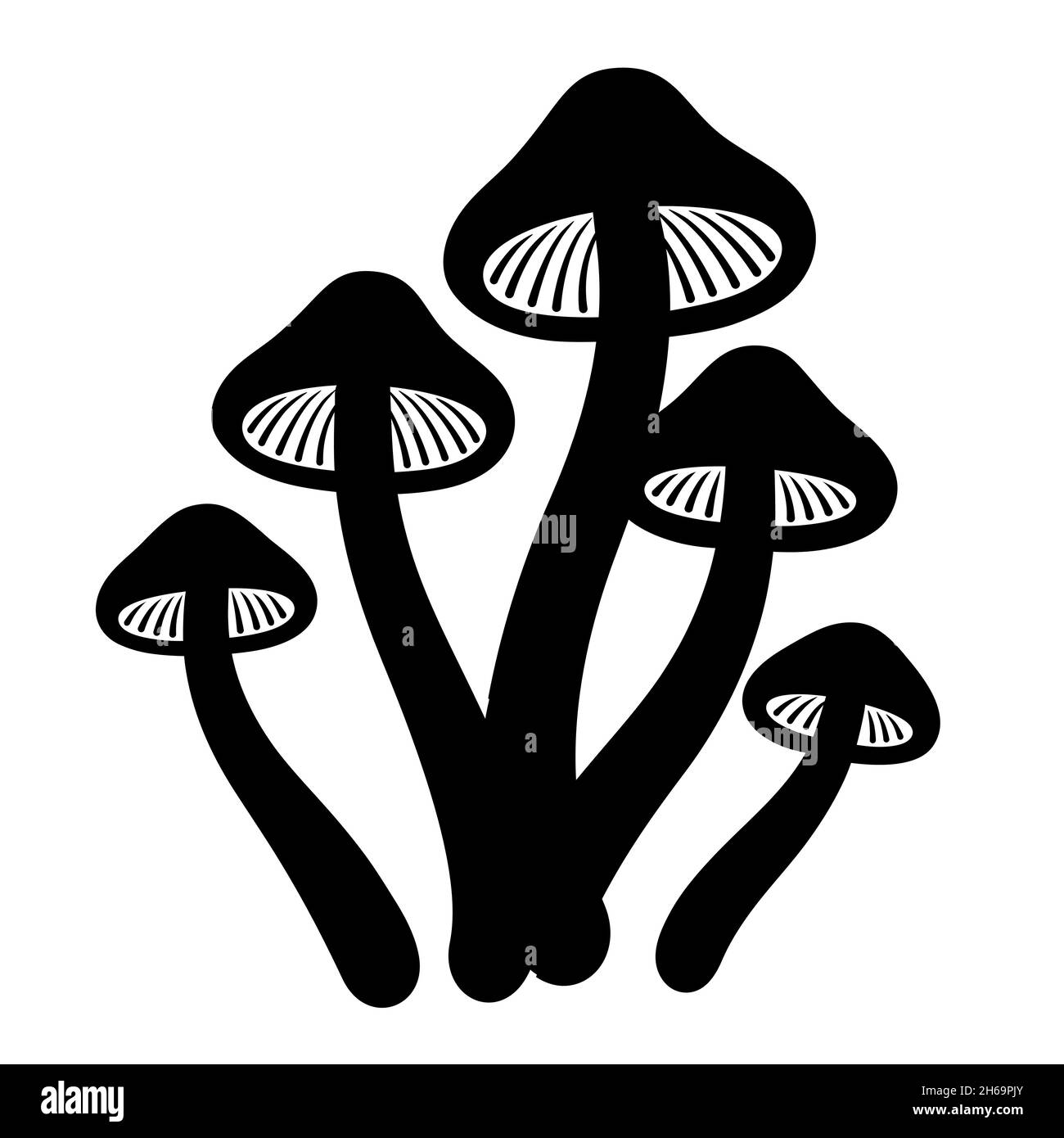Magic mushrooms Psilocybe cubensis. Black and white drawing. Vector clip art illustration. Stock Vector