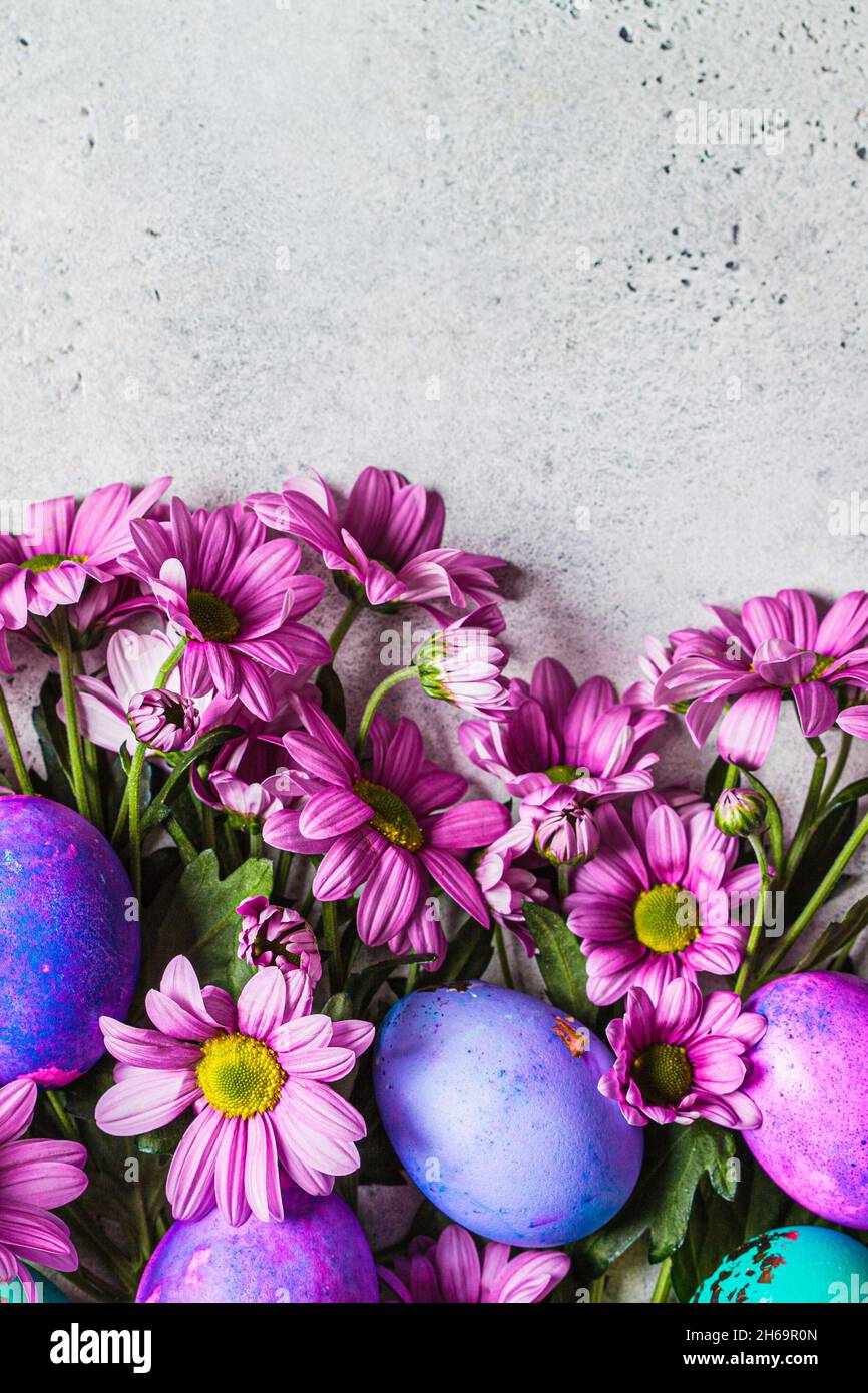 Easter concept. Flowers background with painted purple eggs, copy space ...