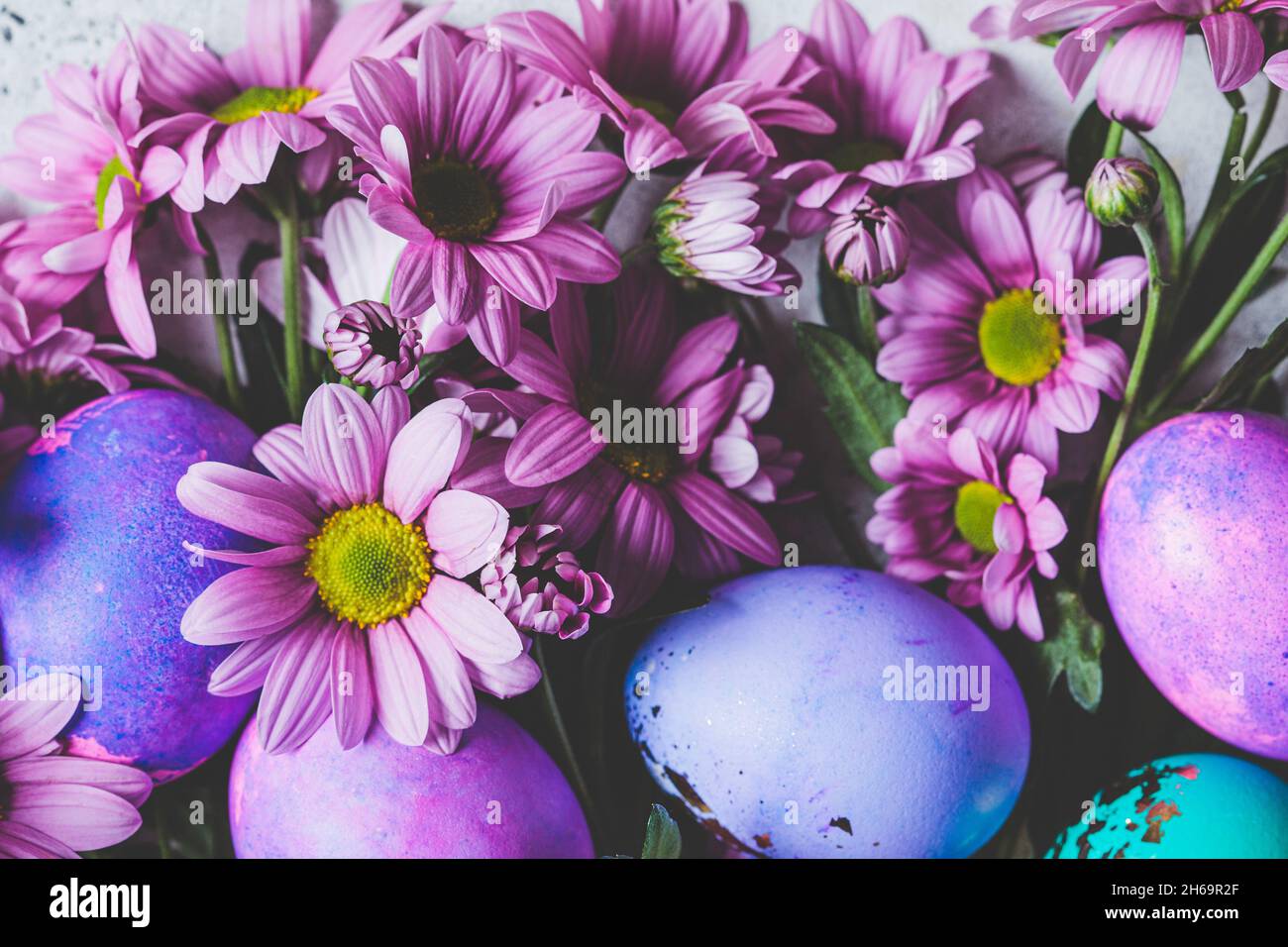 Easter concept. Flowers background with painted purple and pink eggs ...