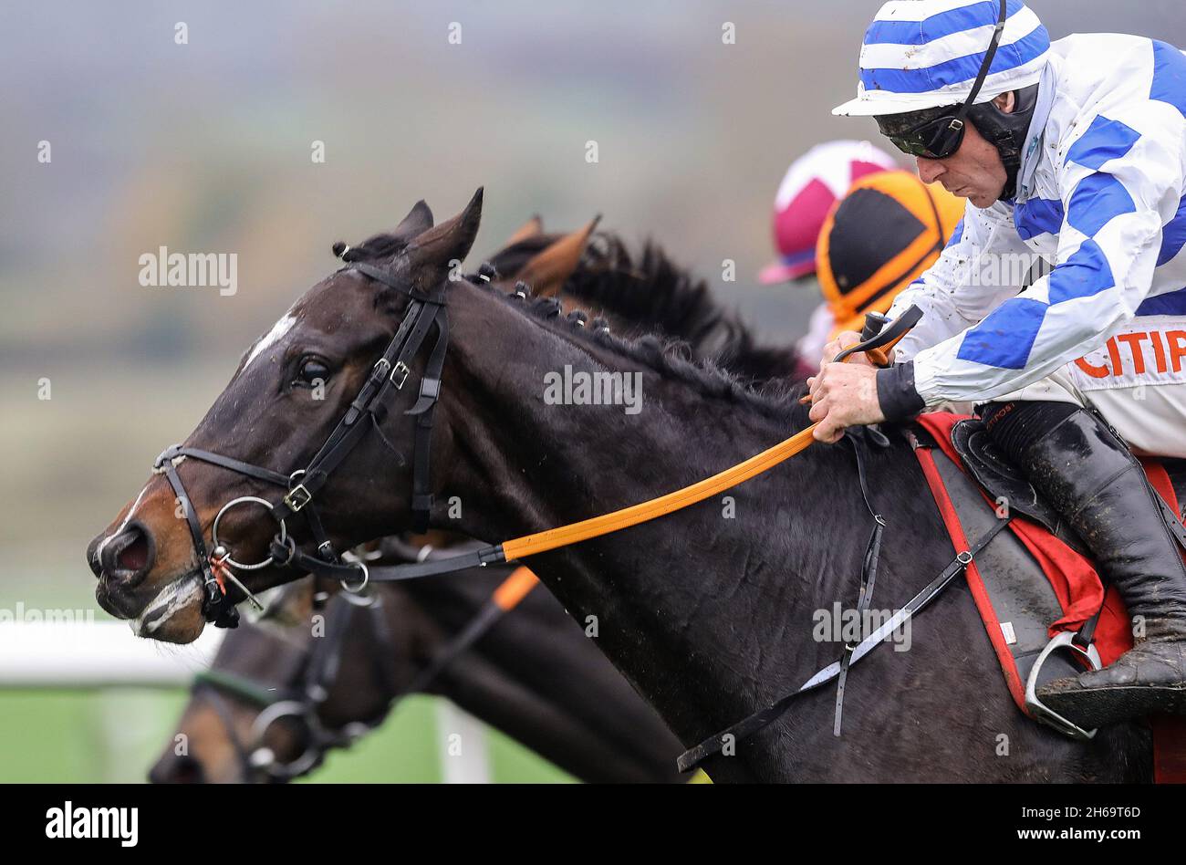 Mr Fred Rogers and Davy Russell coming home to win the I.N.H. Stallion Owners EBF Maiden Hurdle