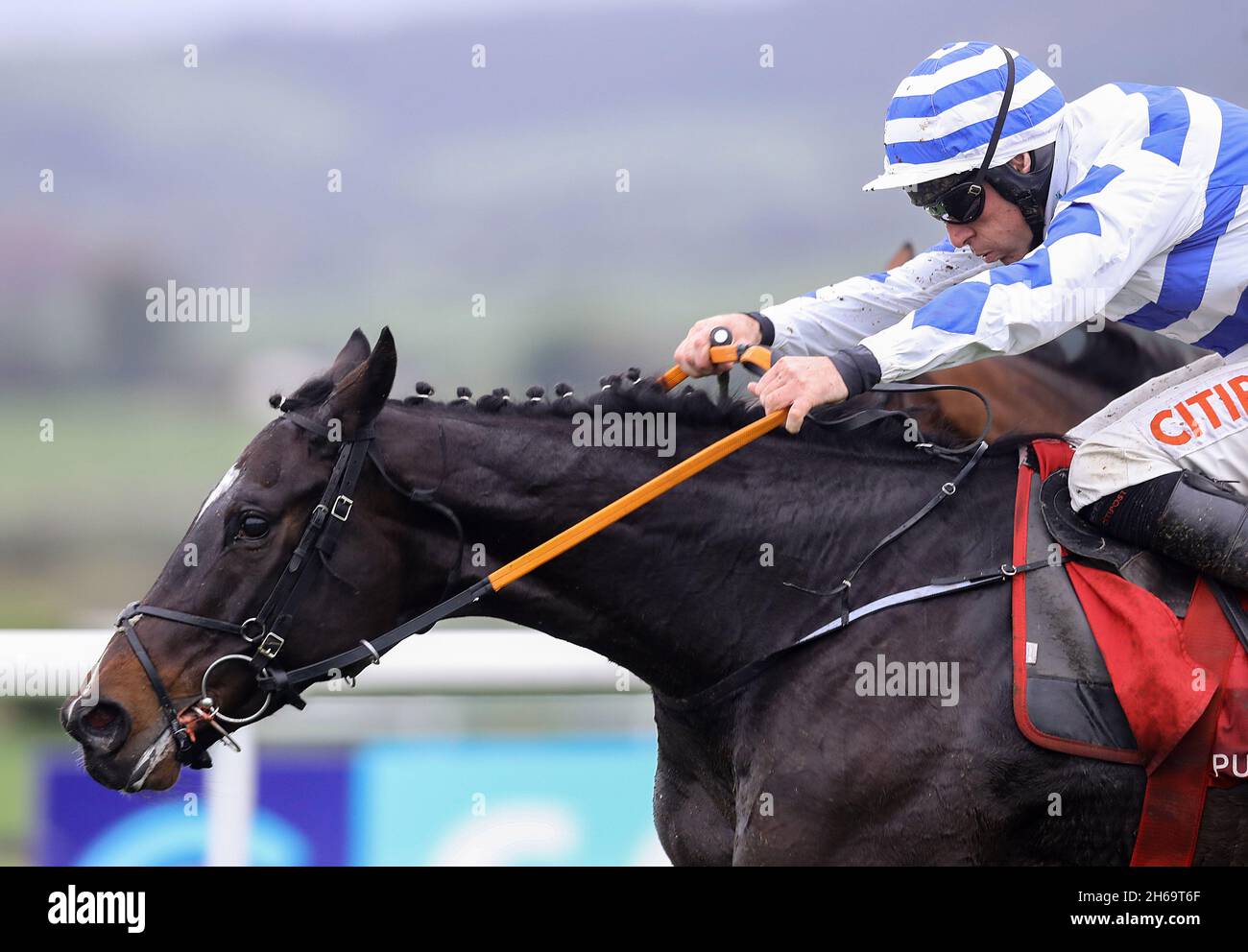 Mr Fred Rogers and Davy Russell coming home to win the I.N.H. Stallion Owners EBF Maiden Hurdle