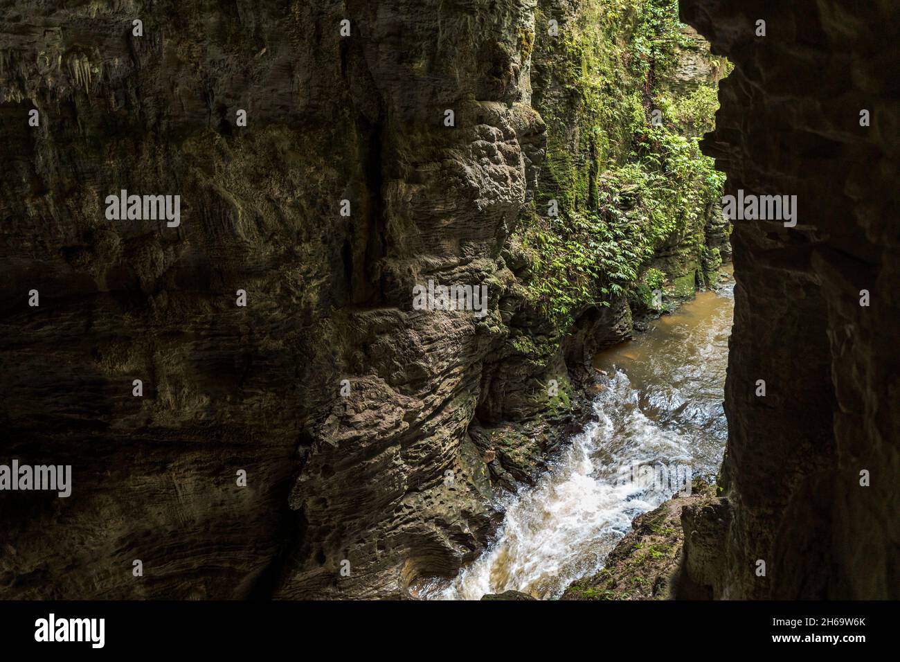 Cave Tunnel, Ruakuri Bush and Scenic Reserve, Waitomo, New Zealand