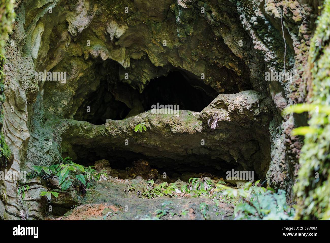 Cave Tunnel, Ruakuri Bush and Scenic Reserve, Waitomo, New Zealand