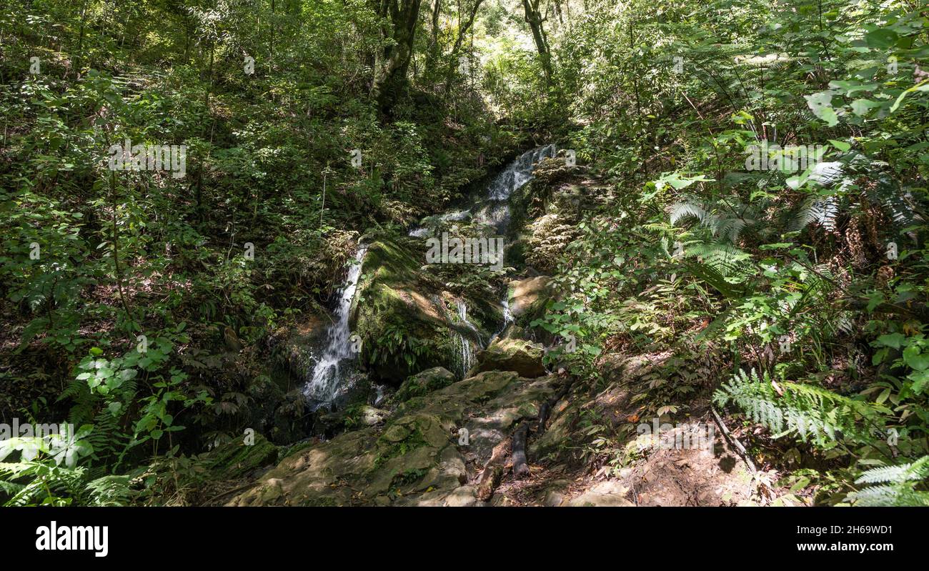 Cave Tunnel, Ruakuri Bush and Scenic Reserve, Waitomo, New Zealand
