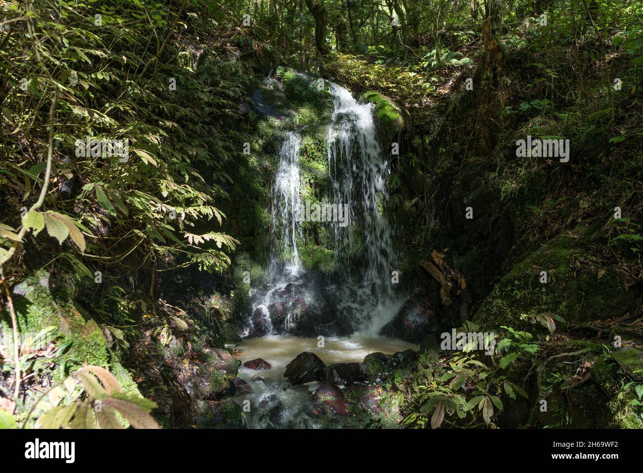 Cave Tunnel, Ruakuri Bush and Scenic Reserve, Waitomo, New Zealand