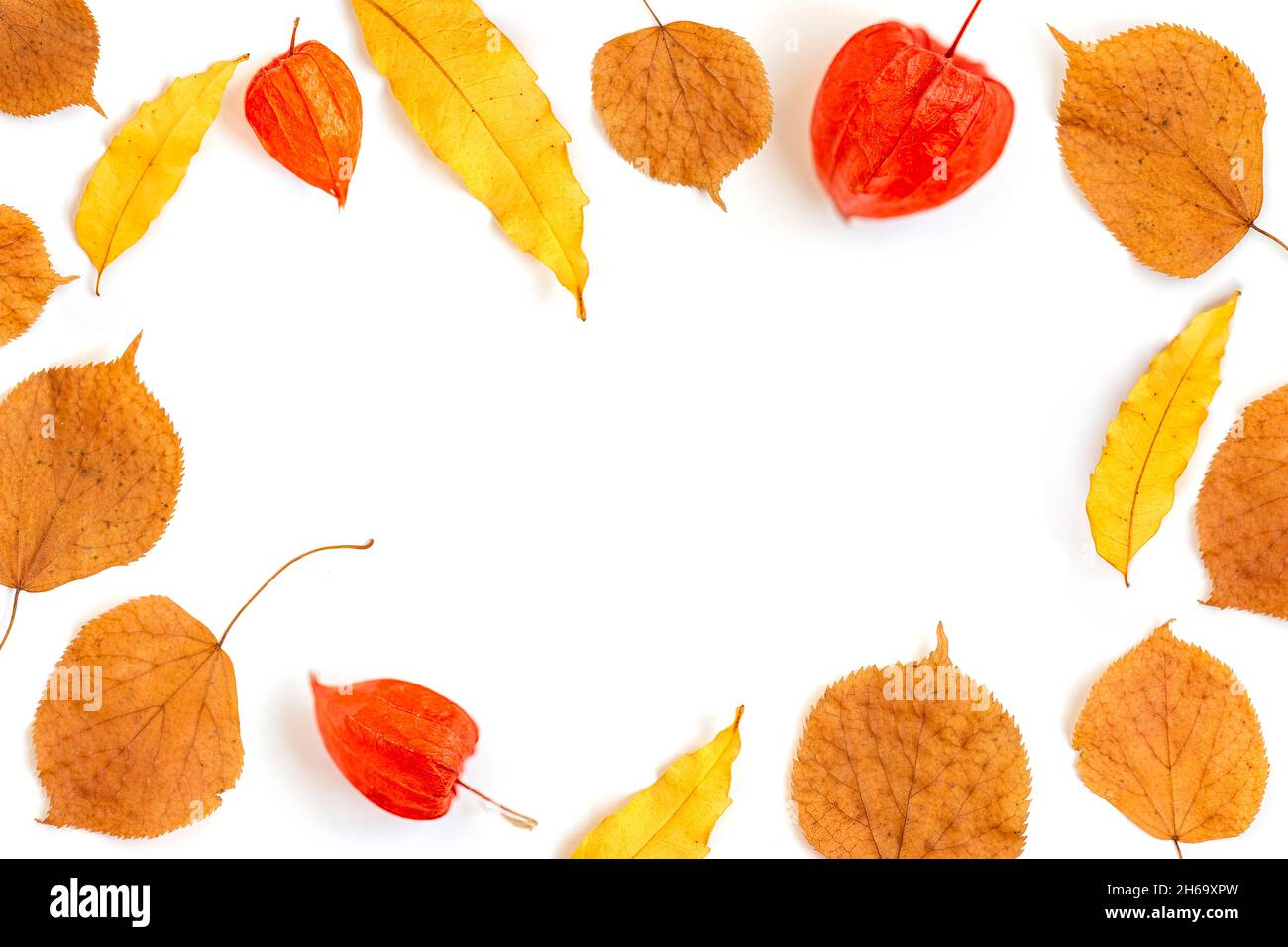 Autumn concept. Leaves isolated on white background forming the frame ...