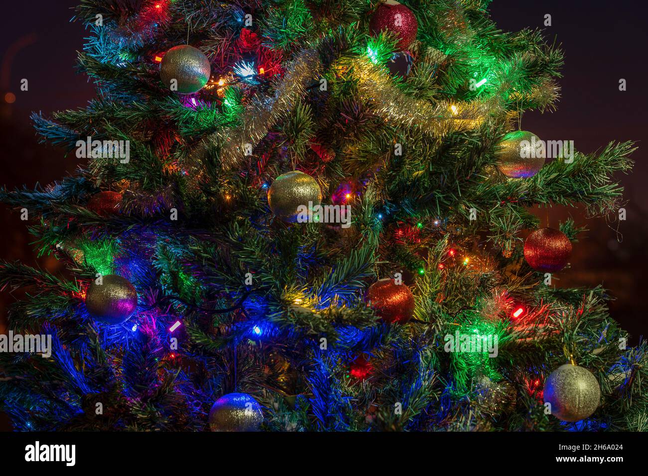 Green spruce branches with red and silver balls, toys and lights ...