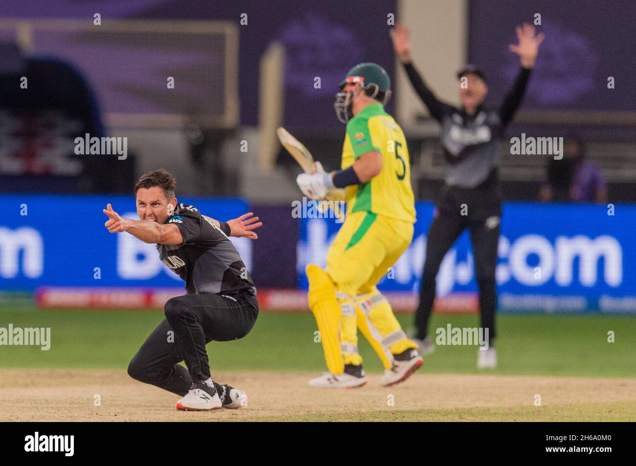 Dubai, UAE. 14th November 2021. Trent Boult of New Zealand (in black ) appeals as Aaron Finch, captain of Australia (in yellow) turns away during the ICC Mens T20 World Cup final match between Australia and New Zealand at Dubai International cricket stadium, Dubai, UAE on 14 November 2021. Photo by Grant Winter. Editorial use only, license required for commercial use. No use in betting, games or a single club/league/player publications. Credit: UK Sports Pics Ltd/Alamy Live News Stock Photo