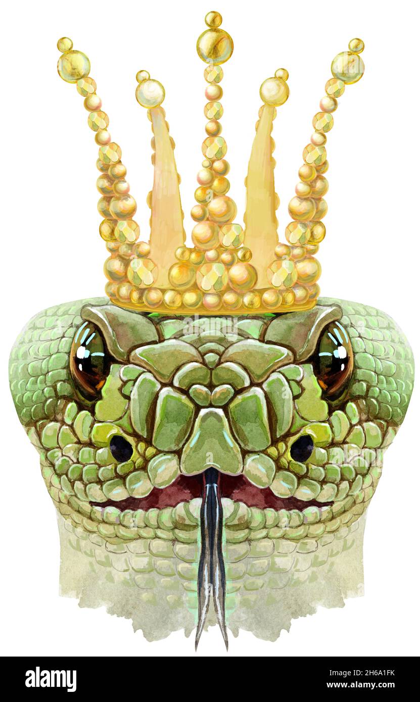 Snake head in gold crown. Horoscope character isolated on white background. Green reptile