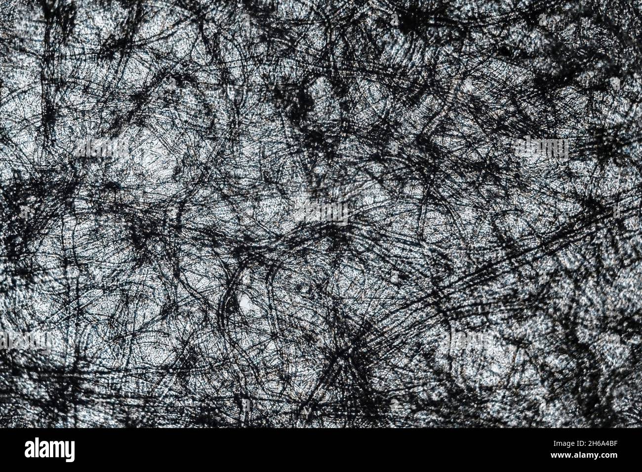 Parchment paper texture under the microscope with a magnification of 40