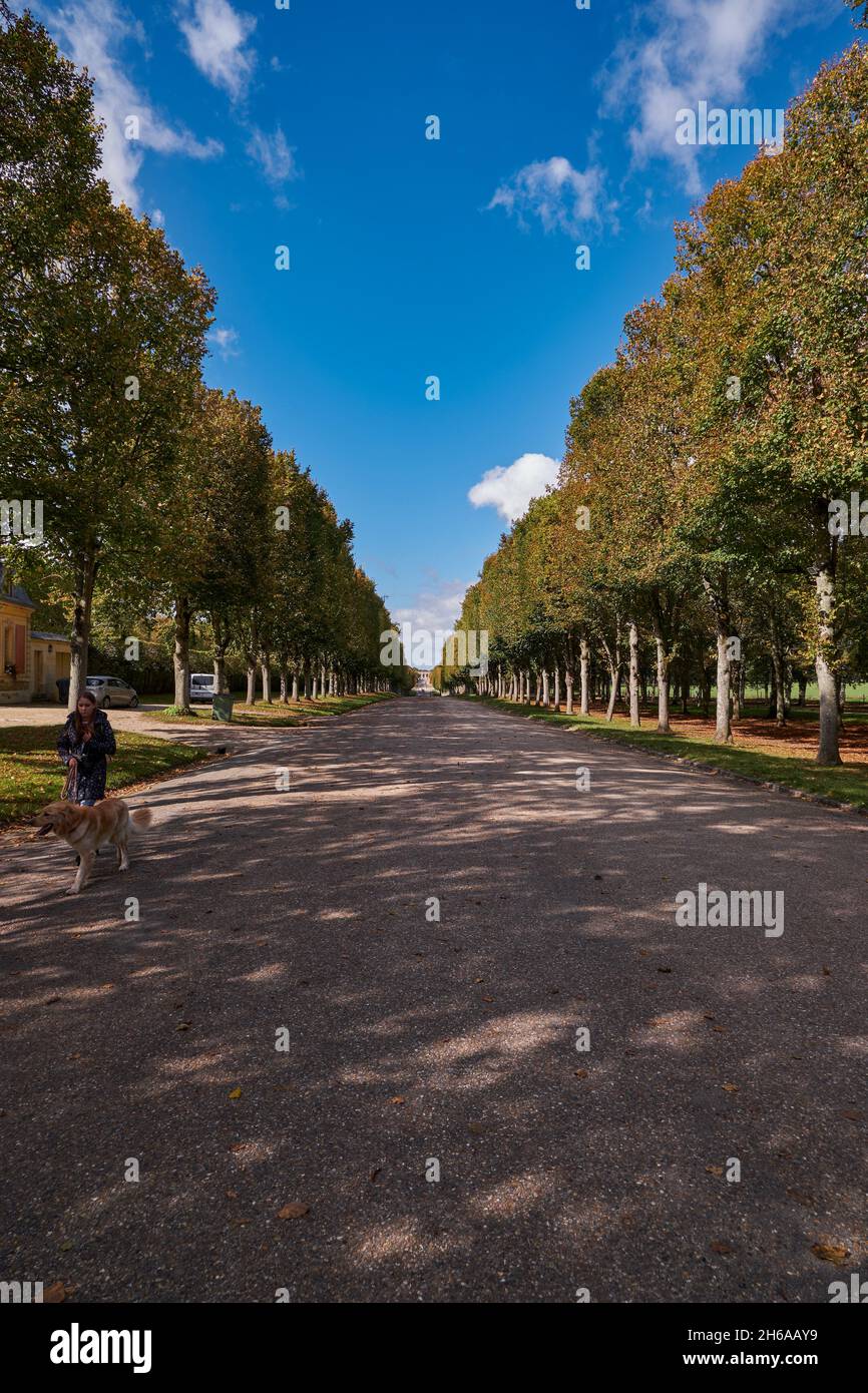 Gardens of the Versailles Palace (Chateau de Versailles) near Paris